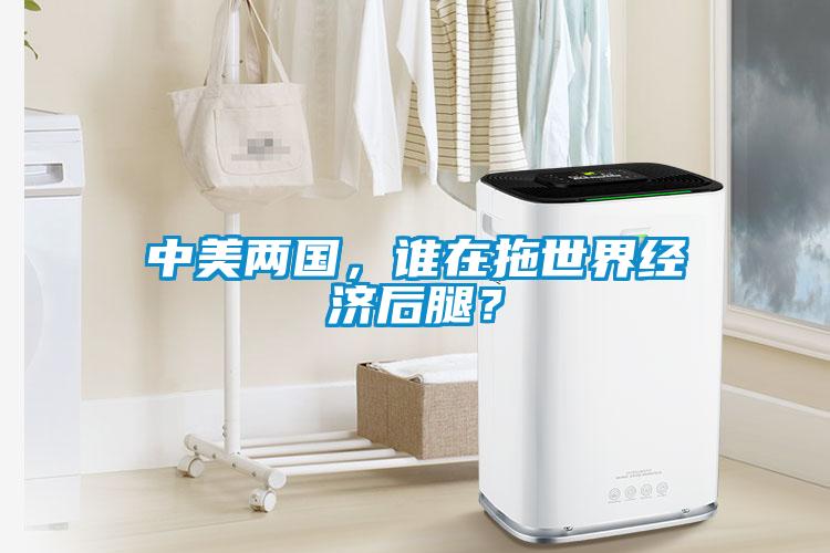 中美兩國,誰在拖世界經濟后腿?