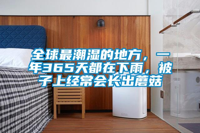 全球最潮濕的地方,一年365天都在下雨,被子上經(jīng)常會長出蘑菇