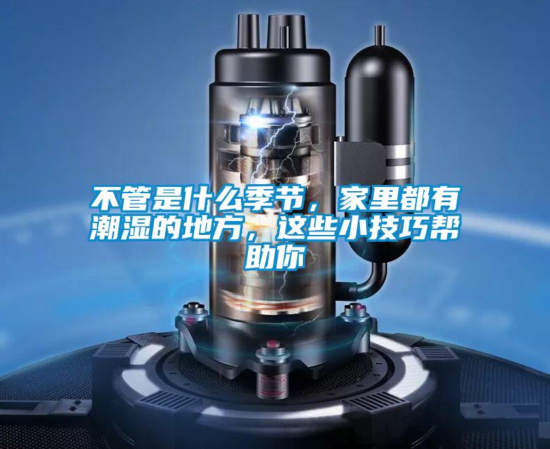 不管是什么季節，家里都有潮濕的地方，這些小技巧幫助你