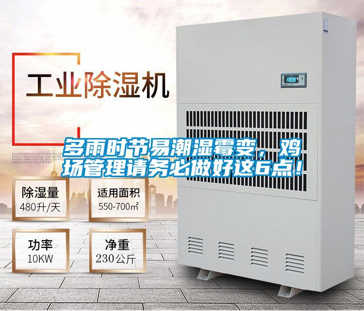 多雨時節易潮濕霉變，雞場管理請務必做好這6點！