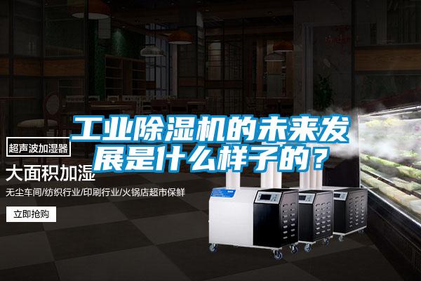 工業除濕機的未來發展是什么樣子的?