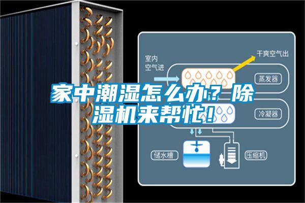 家中潮濕怎么辦？除濕機來幫忙！