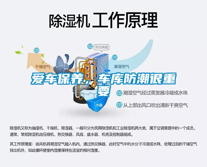 愛車保養,車庫防潮很重要