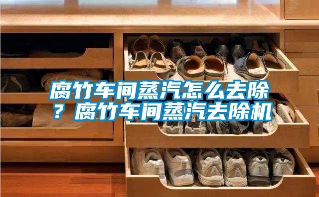 腐竹車間蒸汽怎么去除?腐竹車間蒸汽去除機