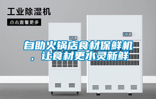 自助火鍋店食材保鮮機(jī),讓食材更水靈新鮮
