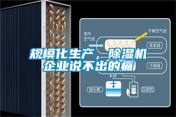 規(guī)模化生產(chǎn),除濕機(jī)企業(yè)說不出的痛