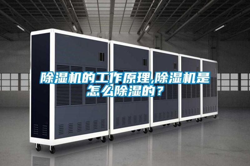 除濕機的工作原理,除濕機是怎么除濕的？