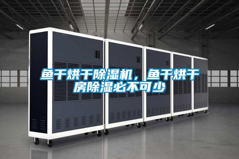 魚干烘干除濕機(jī),魚干烘干房除濕必不可少