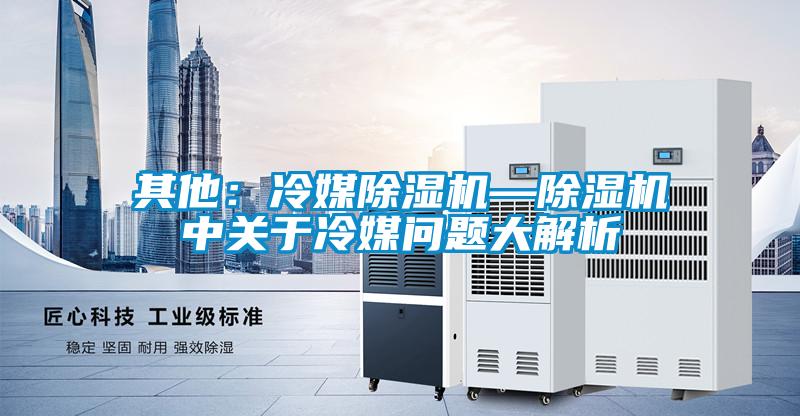 其他:冷媒除濕機(jī)—除濕機(jī)中關(guān)于冷媒問(wèn)題大解析