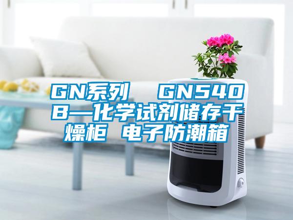 GN系列 GN540B—化學試劑儲存干燥柜 電子防潮箱