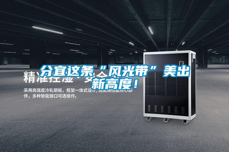 分宜這條“風光帶”美出新高度！